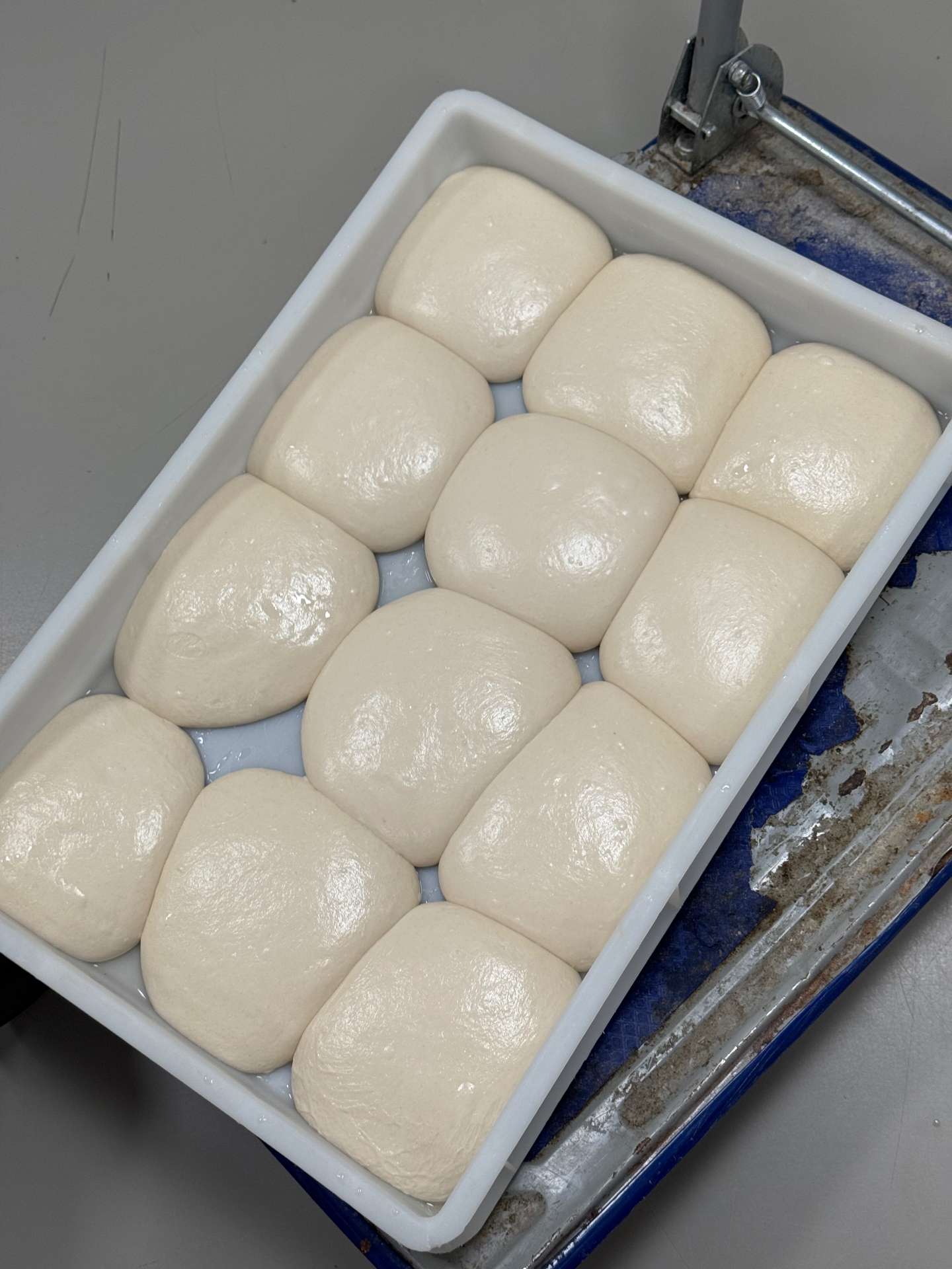 Proofed dough balls packed tight in a fermentation box