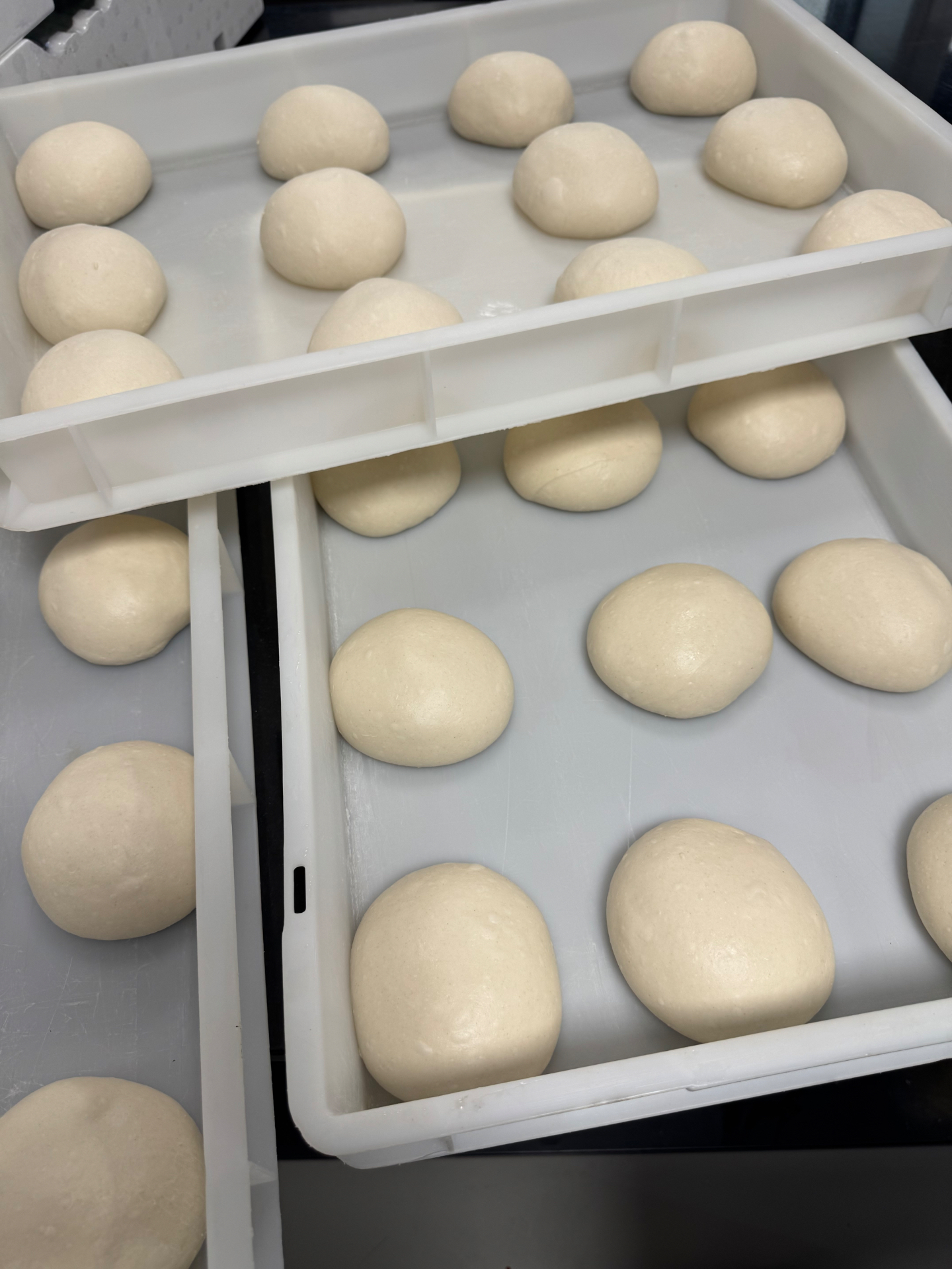 Trays of hand-balled Neapolitan pizza dough resting before service